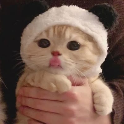 แอนนี่ สวย avatar