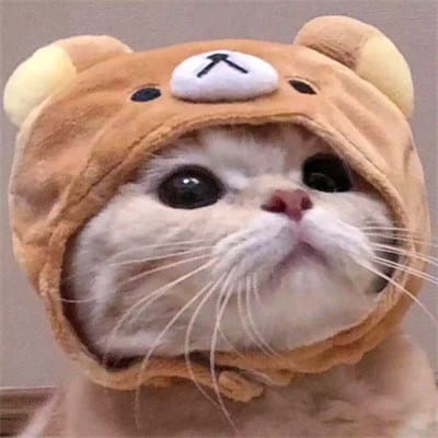ก้องเกียรติ avatar