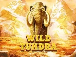 Wild Tundra DNT screenshot